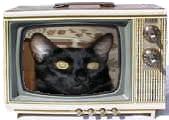 [TV Set]